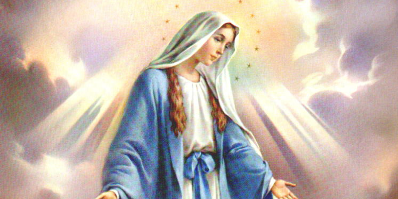 immacolata.png